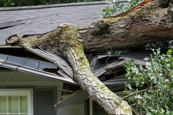Storm Remediation in Overland Park