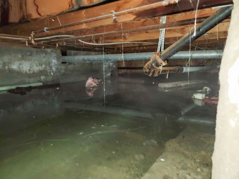 Basement Flood Remediation