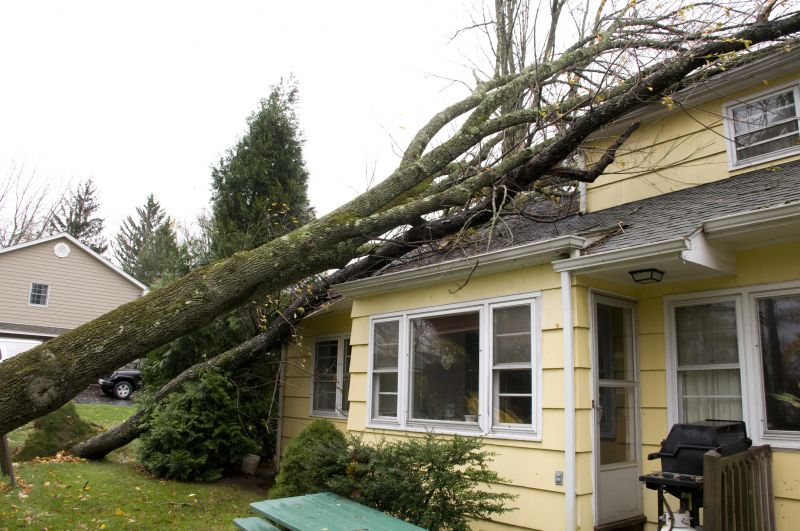 Storm Damage Restoration